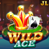 Wild Ace - Casino Game Slot